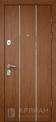 Фото «Дверь с МДФ №217»